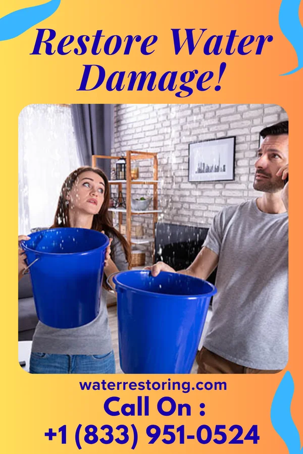 water restoration Best Water Cleanup Force Morrowville